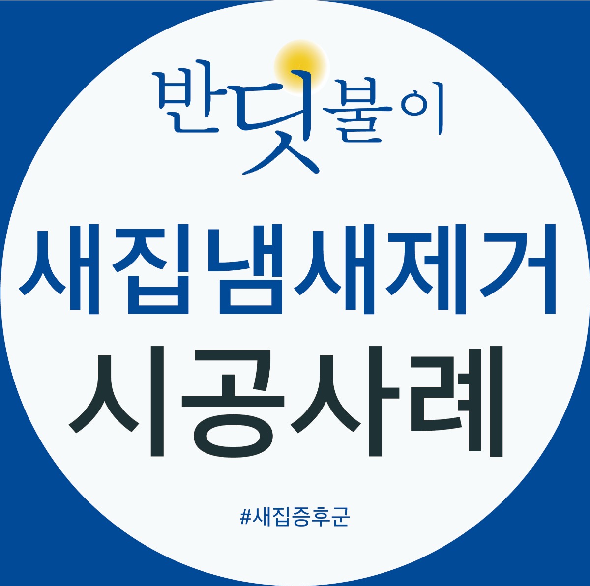 반디글 메인이미지-01.jpg